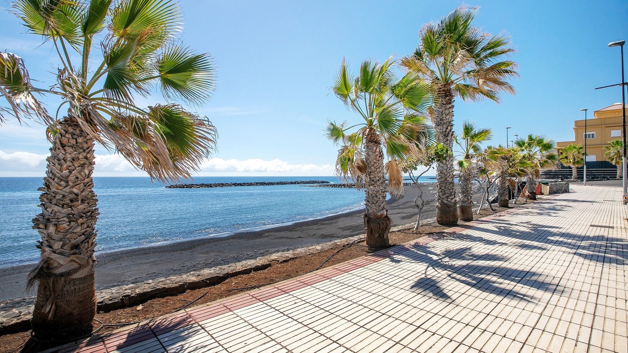 Photo of Others in Puerto de Guimar