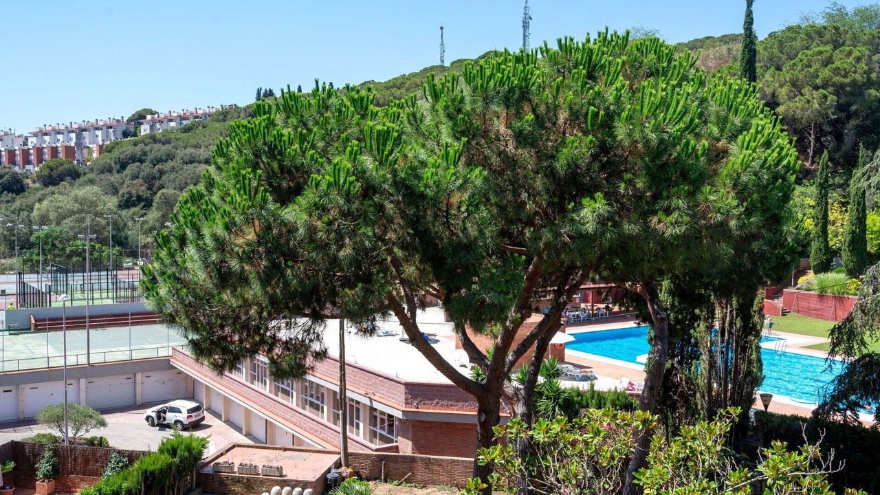 Photo of Others in Arenys de Mar