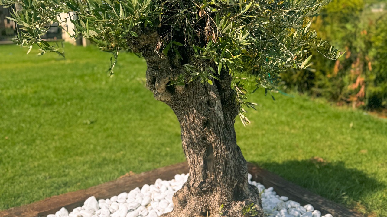Photo of Outdoor in Adigna