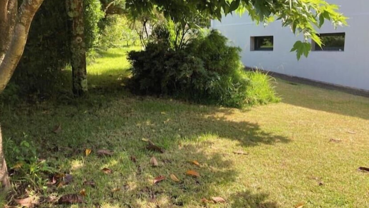 Photo of Outdoor in Donon