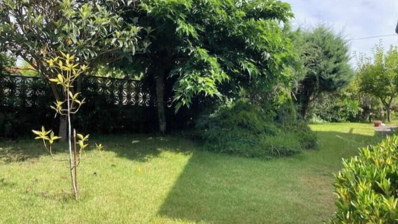 Photo of Outdoor in Donon