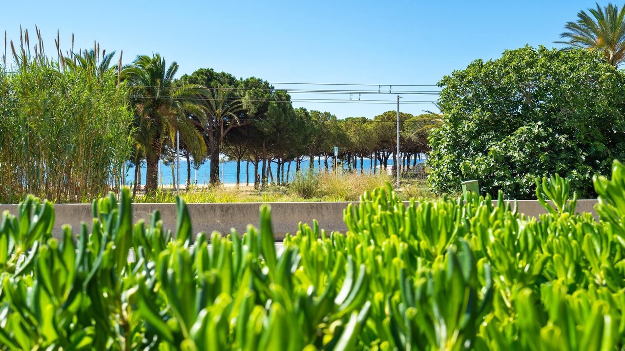 Photo of Outdoor in Mataro