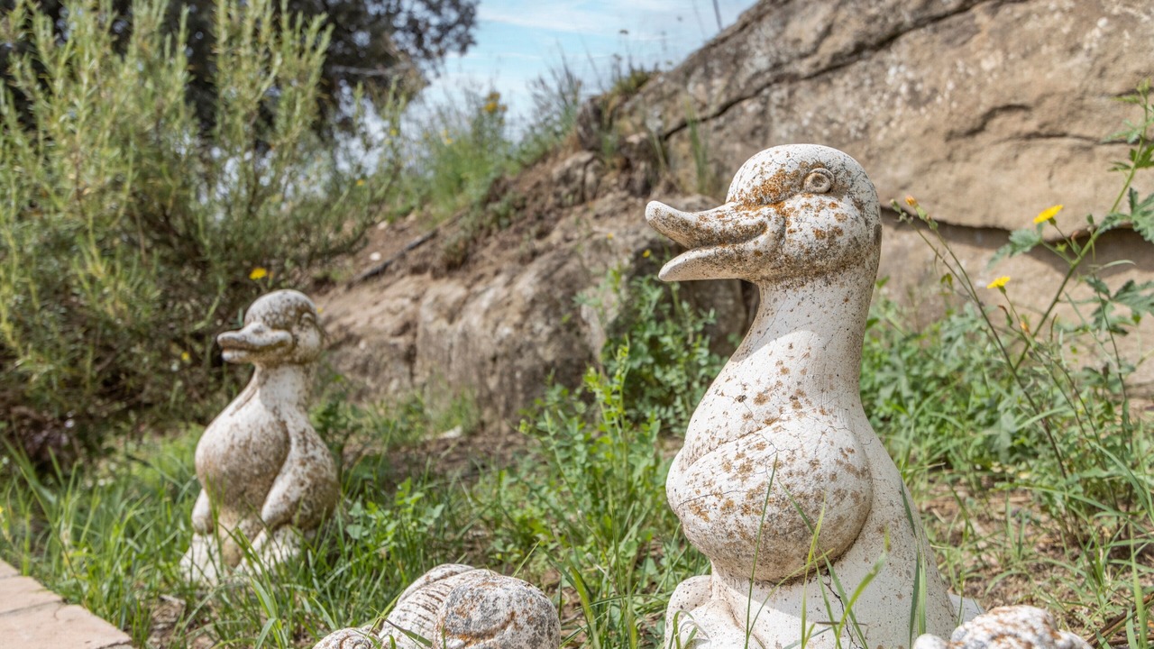 Photo of Outdoor in Casserres