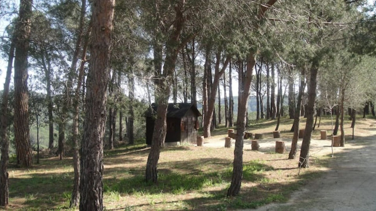 Photo of Outdoor in Arenys de Munt