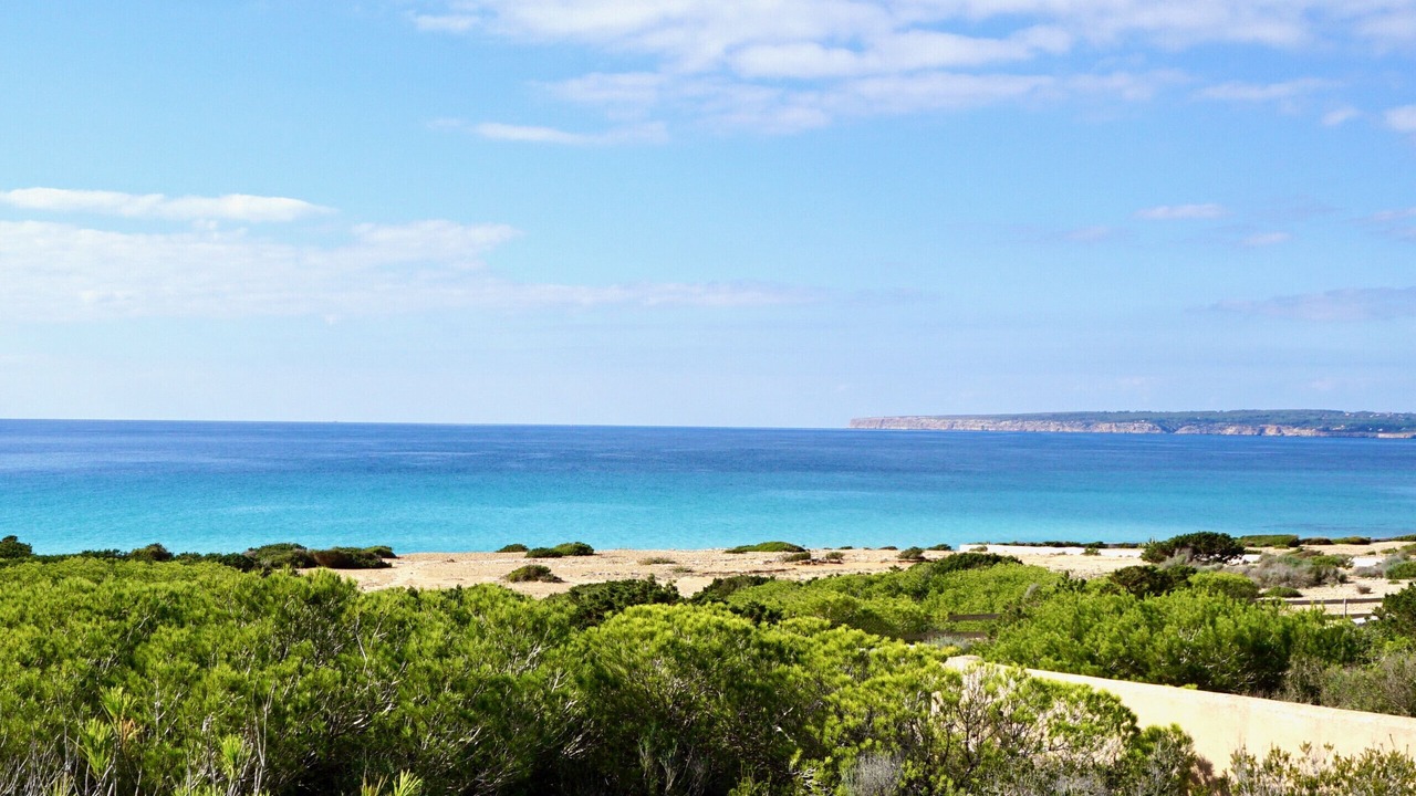 Photo of Others in Formentera