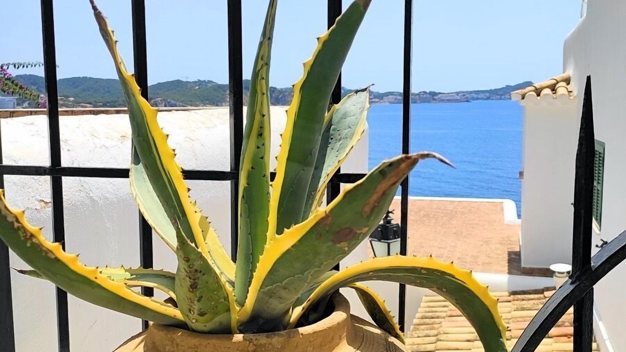 Photo of Outdoor in Peguera