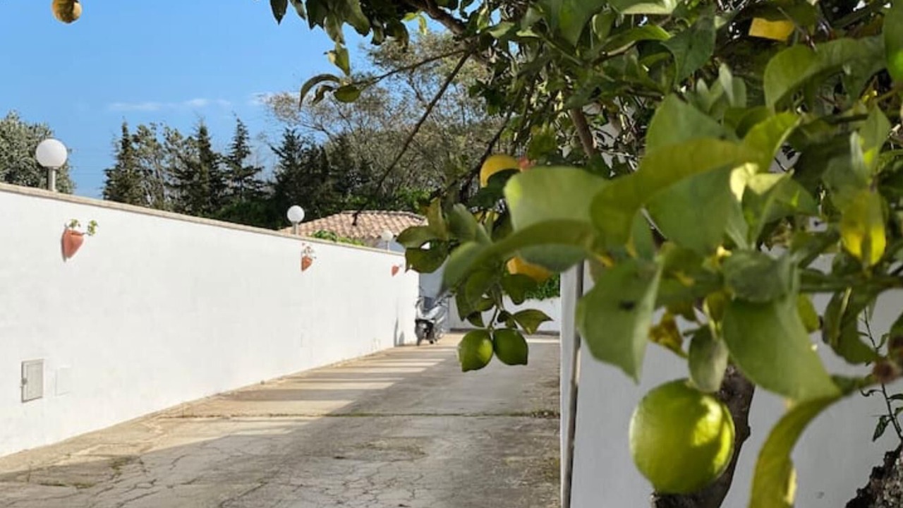 Photo of Outdoor in Conil de la Frontera