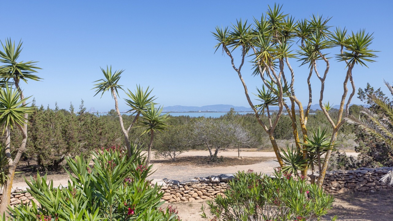 Photo of Others in Formentera
