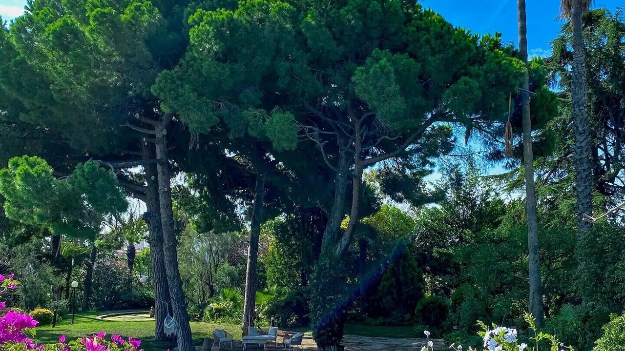 Photo of Outdoor in Cabrils