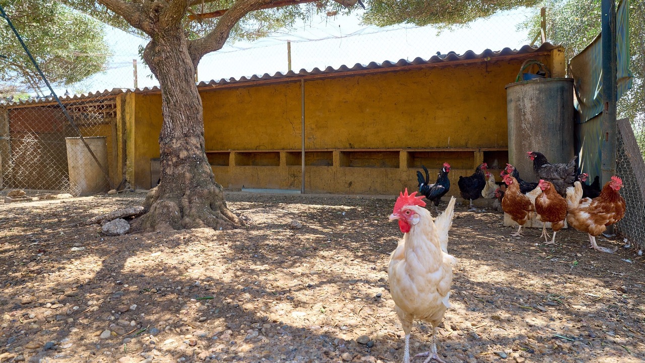 Photo of Outdoor in Hornachuelos