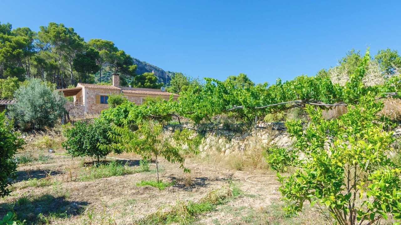 Photo of Outdoor in Son Antem