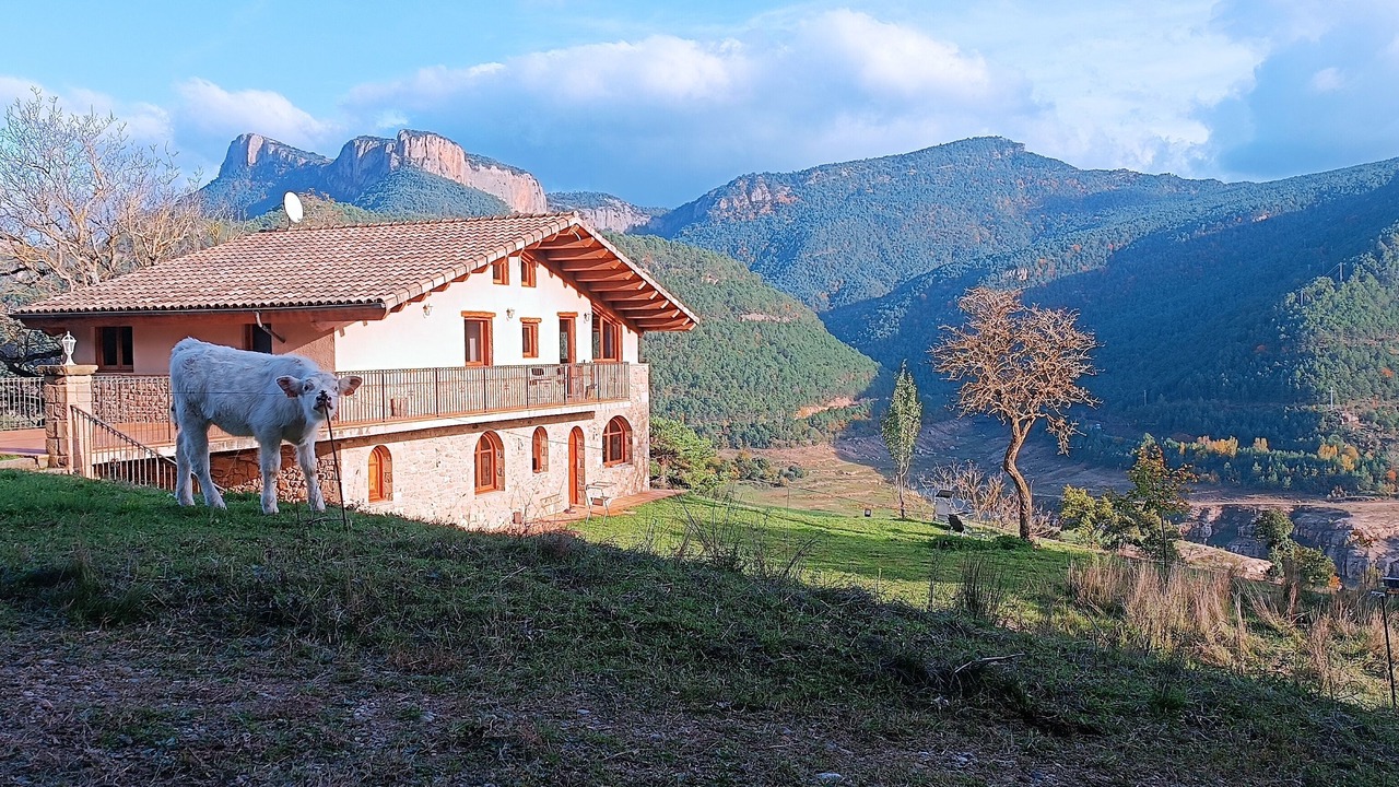 Photo of Outdoor in Naves