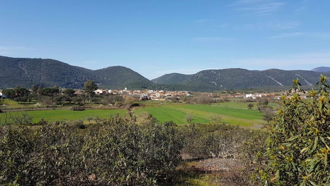 Photo of Others in Navas de Estena