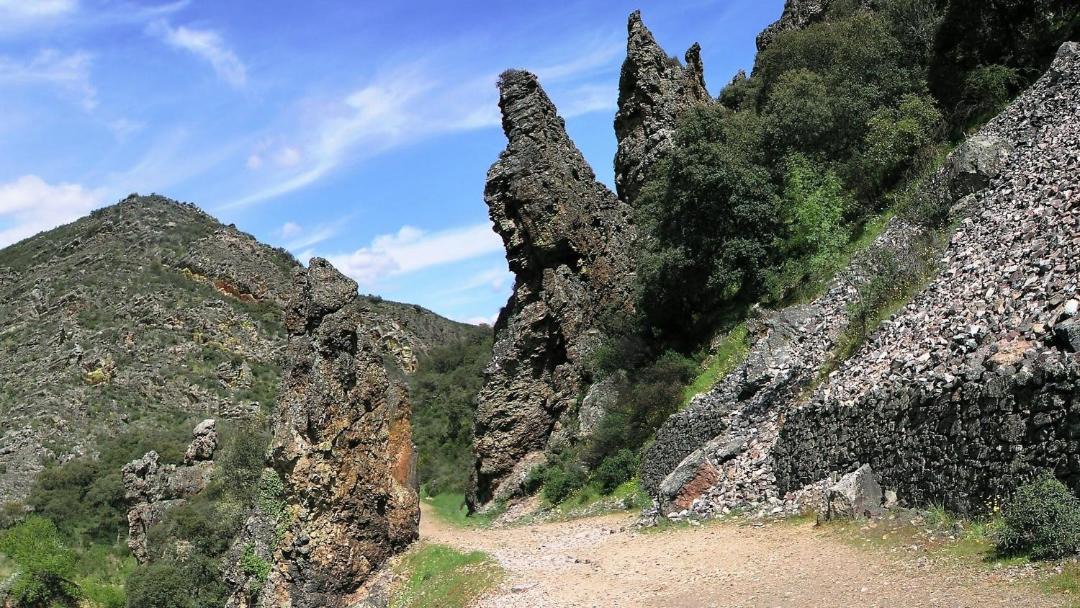 Photo of Others in Navas de Estena
