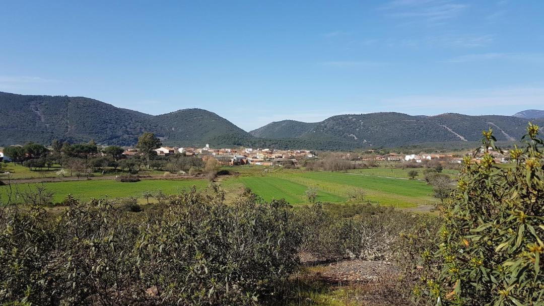 Photo of Others in Navas de Estena