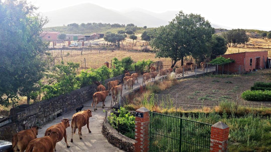 Photo of Others in Navas de Estena