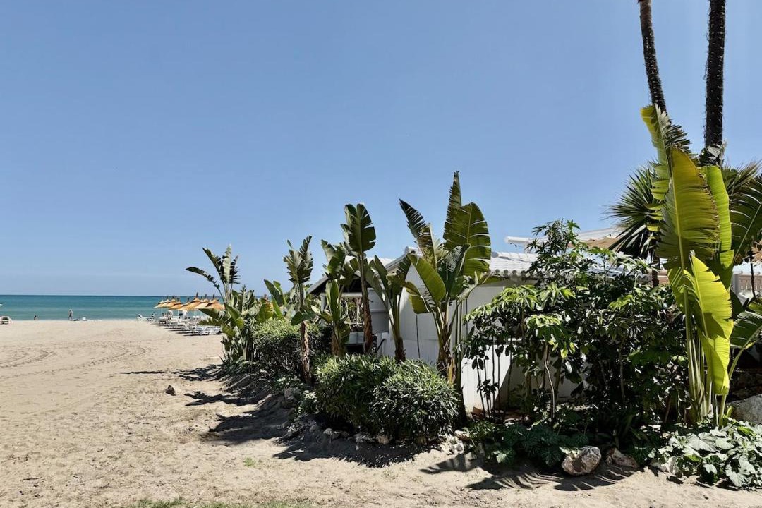Photo of Others in Carihuela