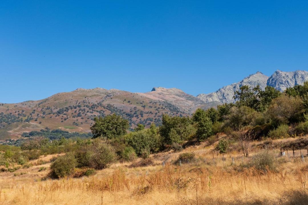 Photo of Others in Candeleda