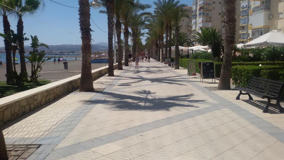 Photo of Others in Algarrobo