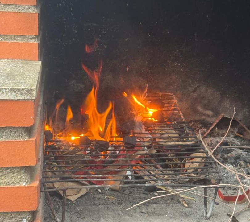 Photo of Others in Alameda de Cervera