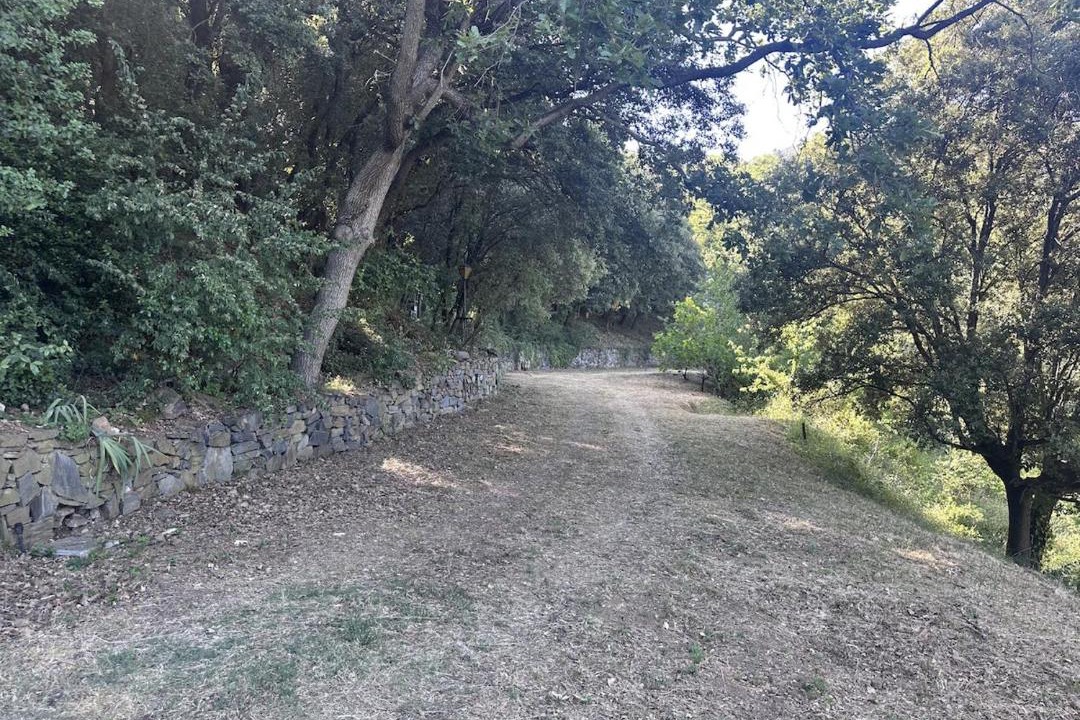 Photo of Outdoor in Sant Pere de Vilamajor