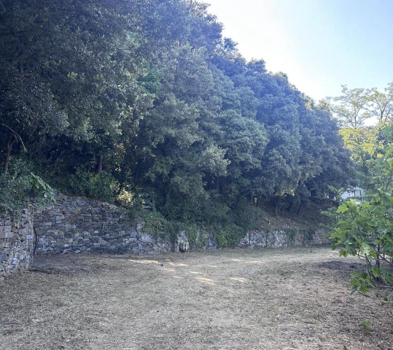 Photo of Others in Sant Pere de Vilamajor