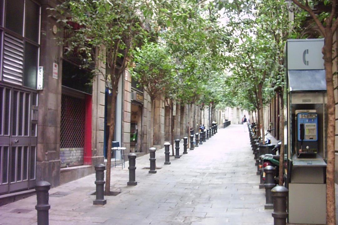 Photo of Others in Gothic Quarter