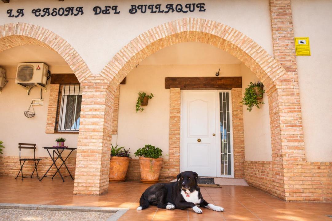 Photo of Others in El Robledo