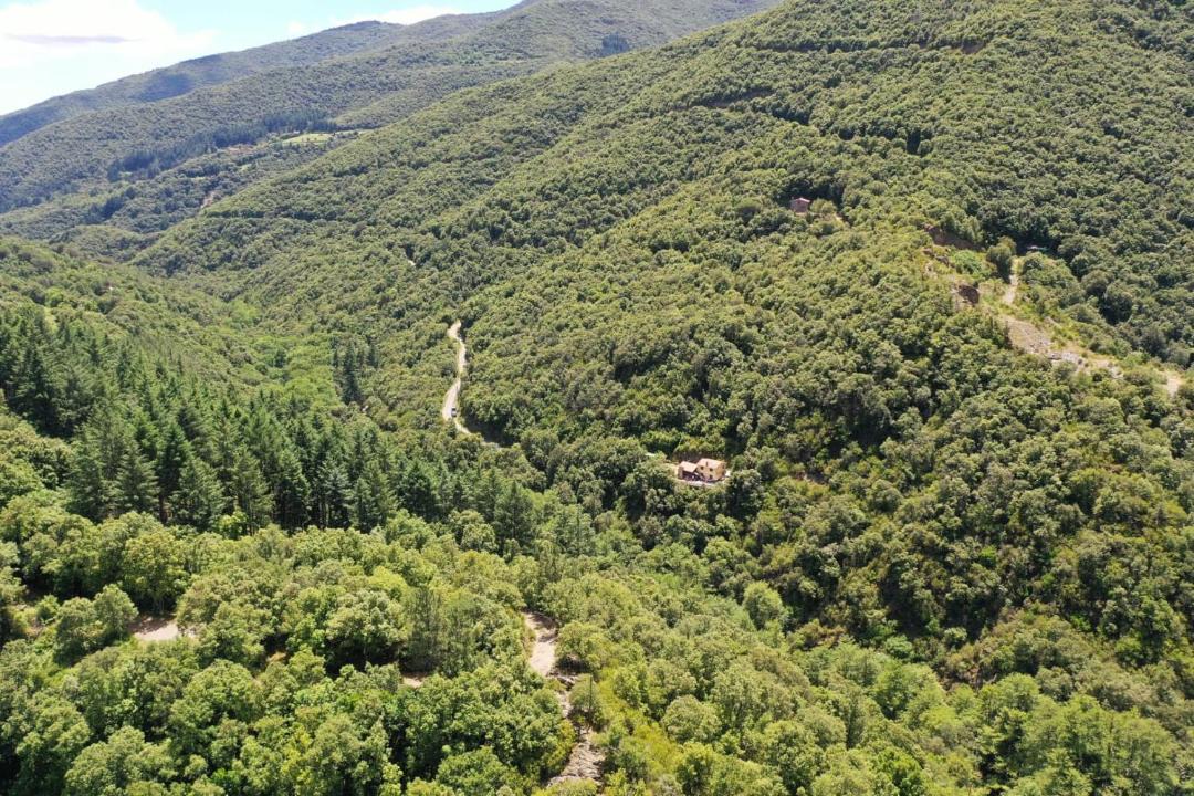 Photo of Others in Montseny