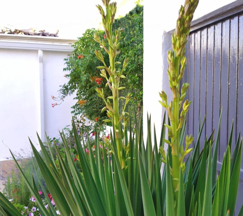 Photo of Others in Arenales de San Gregorio