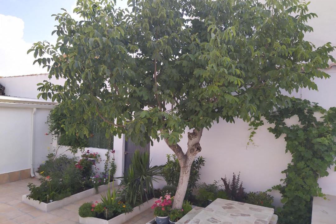 Photo of Others in Arenales de San Gregorio
