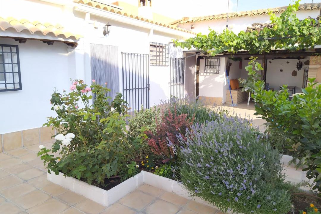 Photo of Others in Arenales de San Gregorio