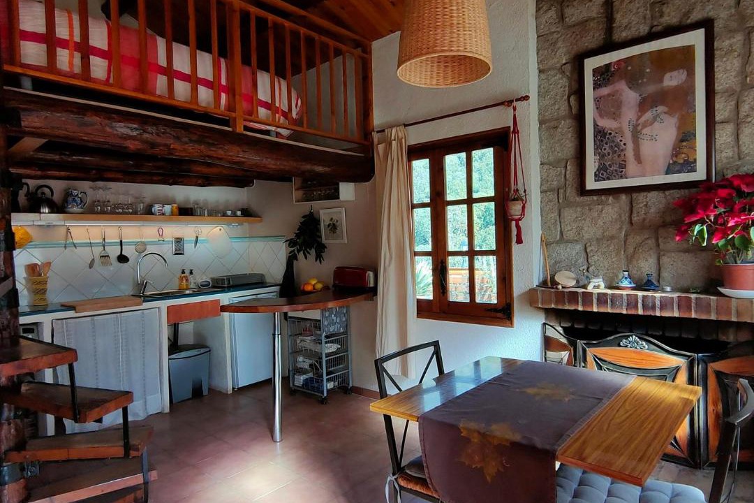 Photo of Kitchen in Montseny