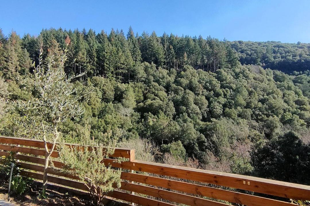 Photo of Others in Montseny