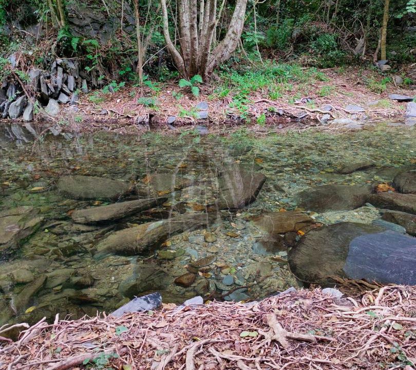 Photo of Others in Montseny
