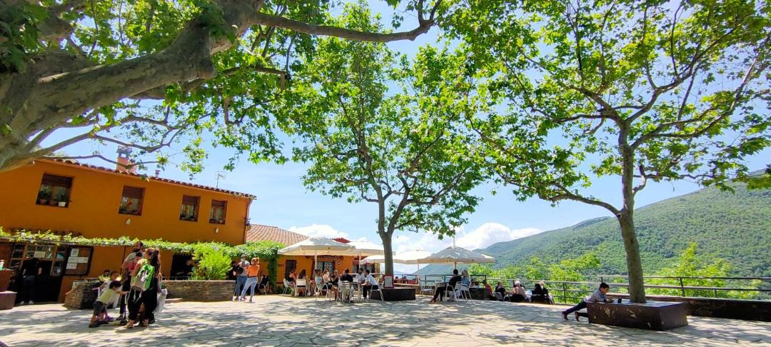 Photo of Others in Montseny