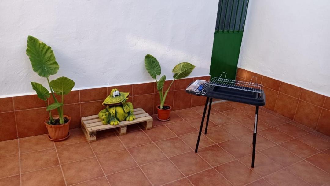 Photo of Others in Albacete