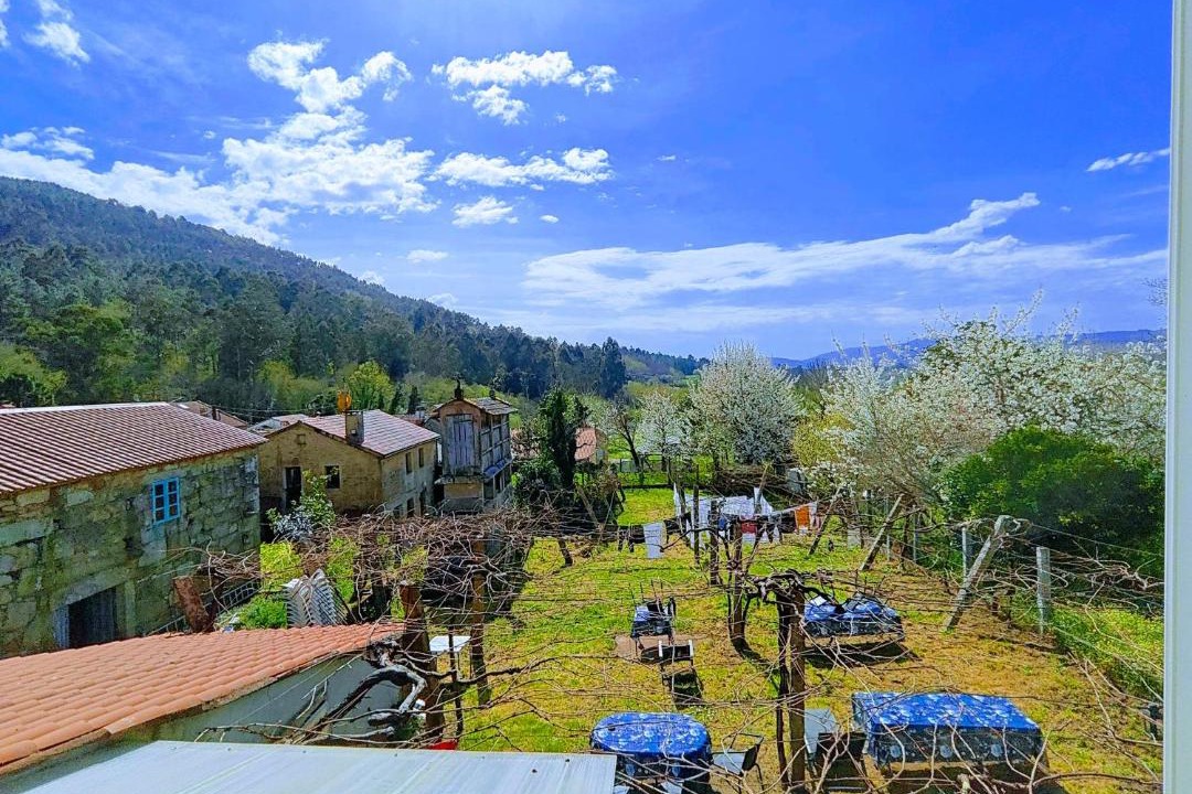 Photo of Others in A Picarana