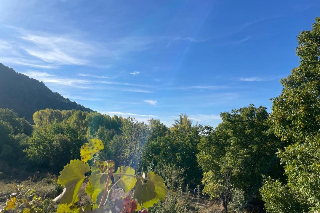 Photo of Others in Huerta del Marquesado