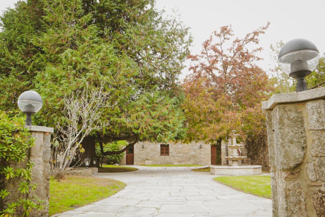 Photo of Others in Teo