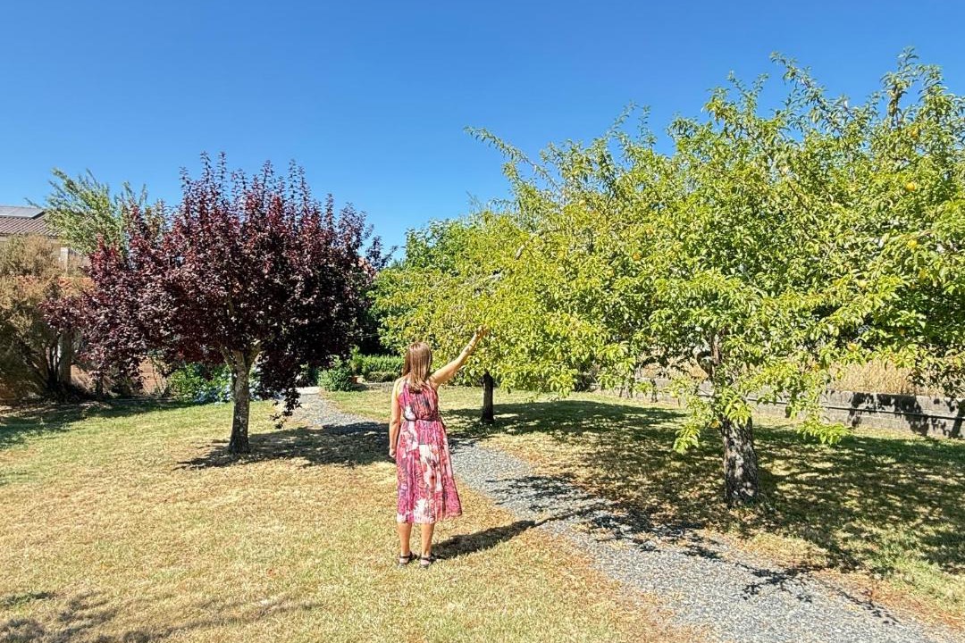 Photo of Others in Pontecesures