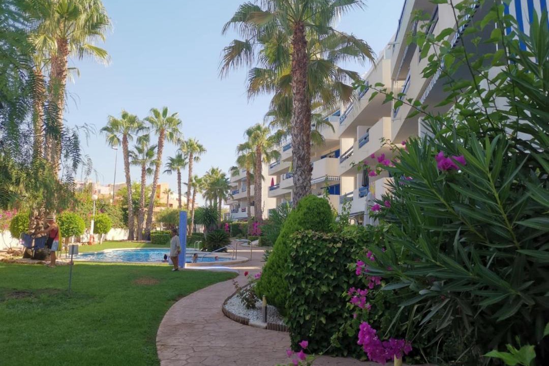 Photo of Others in Flamenca Beach