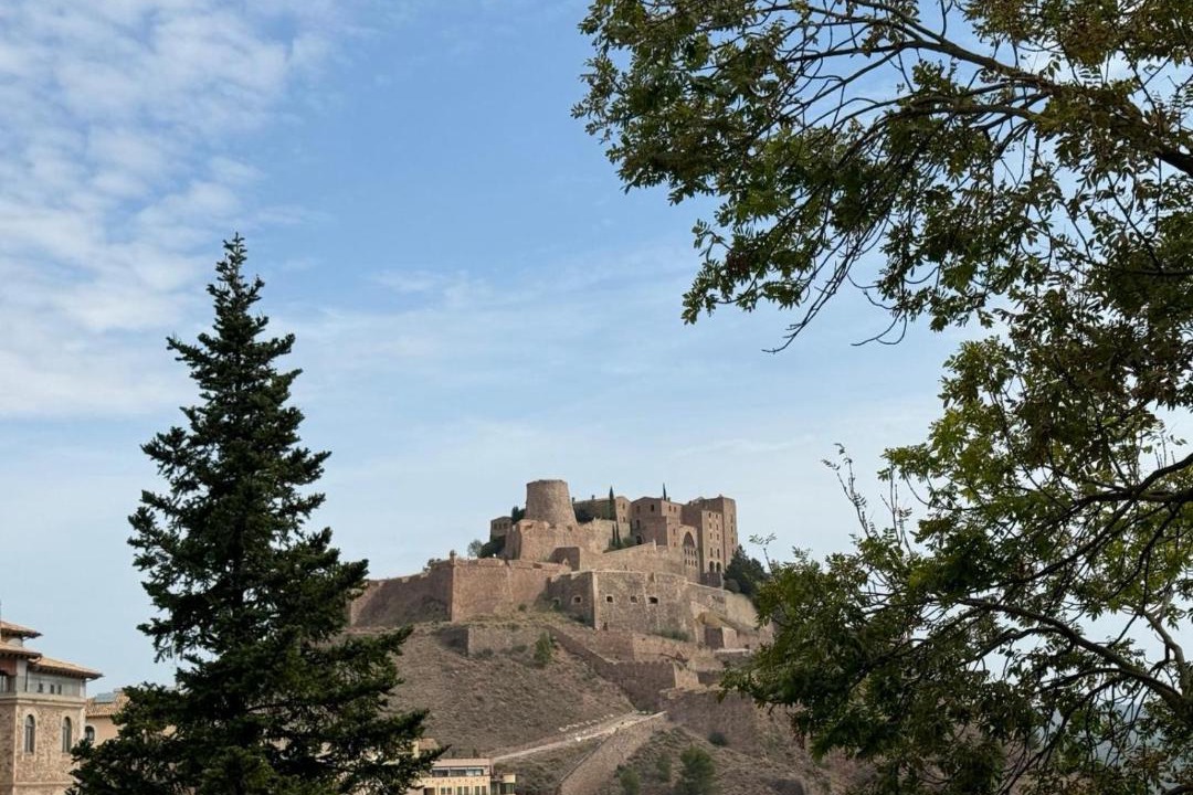 Photo of Others in Cardona