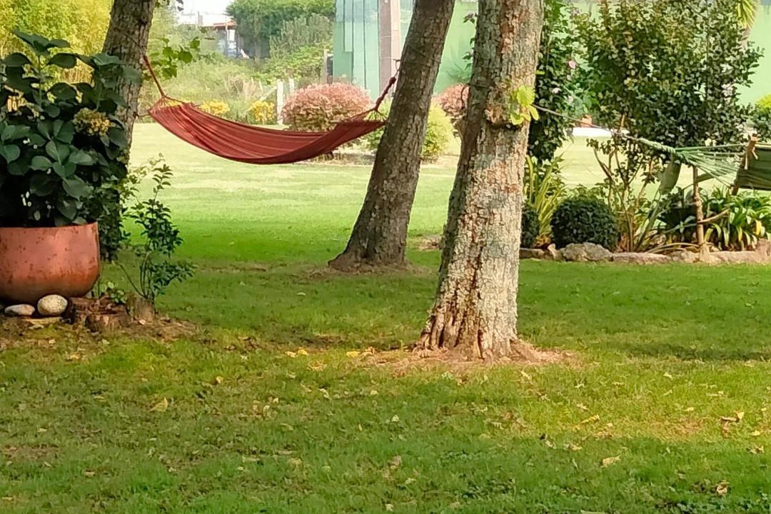 Photo of Others in Sanxenxo
