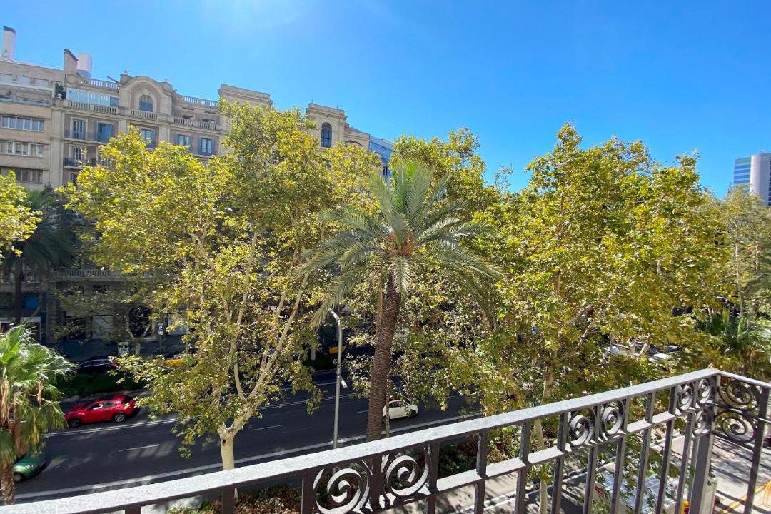 Photo of Others in Sant Gervasi