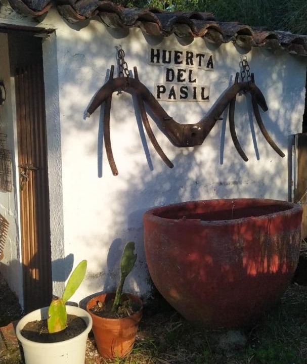 Photo of Others in Villanueva del Rey