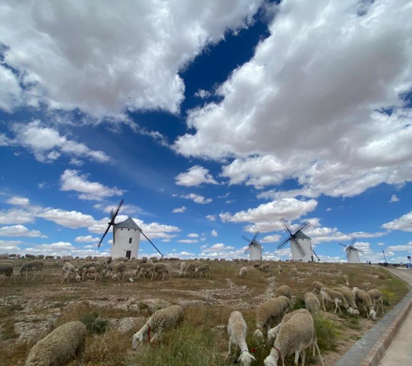 Photo of Others in Campo de Criptana