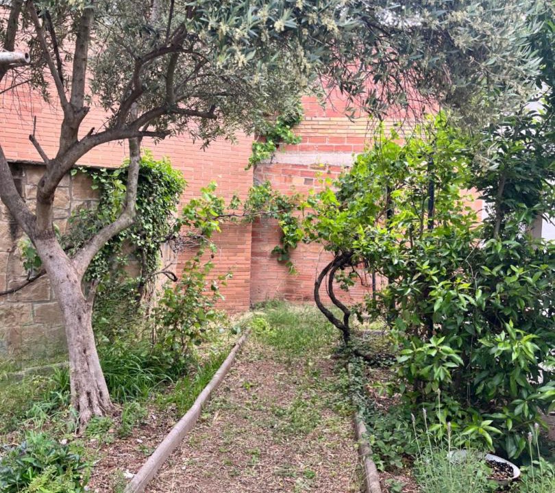 Photo of Others in Cardona