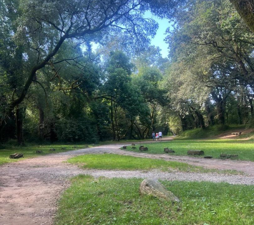 Photo of Others in Santiago de Compostela