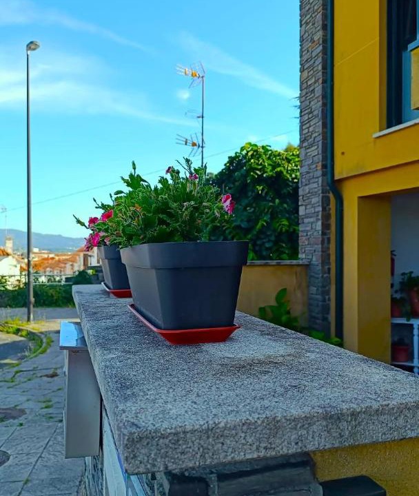 Photo of Others in Cangas